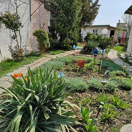 Guest house Vila Blue *
