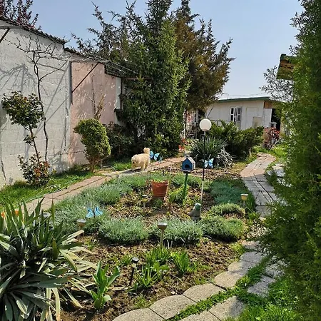 Vila Blue Navodari